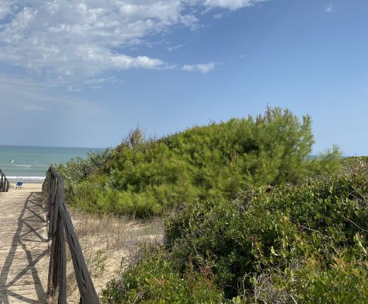 die wilde Natur der Strände im Gargano